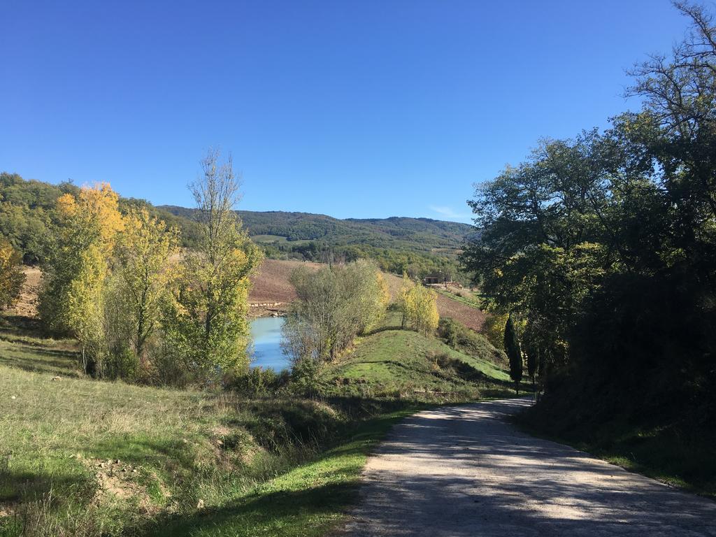 Podere Terreno Via Della Volpaia * Radda In Chianti
