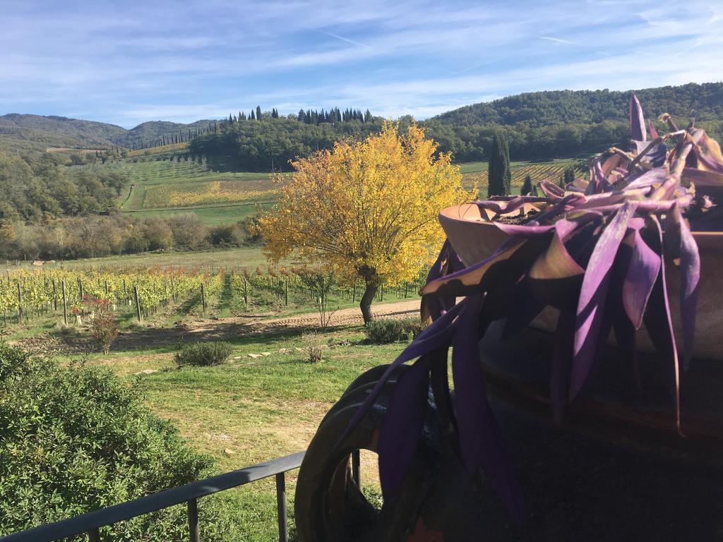 Podere Terreno Via Della Volpaia * Radda In Chianti